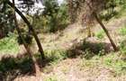 2 ac Land at Karati - 4