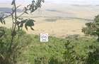 20 ac Land at Masai Mara Game Reserve - 3