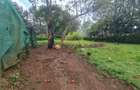 Commercial Property with Garden at Bomas - 3