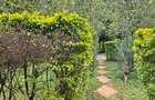 2 Bed House with Garden at Karen - 5