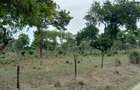 3 ac Residential Land in Kikambala - 5