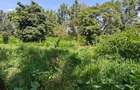 1.1 ac Land in Karen - 9