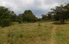 9 ac Land in Karen - 7