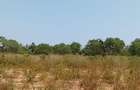 4 ac Land at Matsangoni - 10