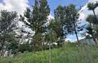 0.5 ac Land in Ngong - 6