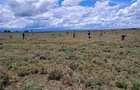 0.405 ha Land in Nanyuki - 4