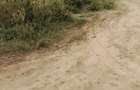 0.0410 ha Land at Tausi Lane - 1