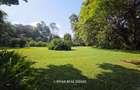 1.25 ac Land at Old Kitisuru - 2