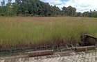 Land in Karen - 4
