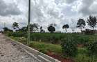0.5 ac Land at Runda - 13
