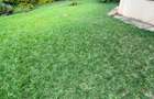4 Bed Townhouse with En Suite at Gitanga Road - 9
