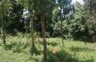 2.2 ac Land in Ngong - 4