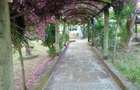 10 Bed Villa with En Suite at Central - 2