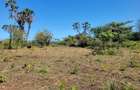 Land in Diani - 7