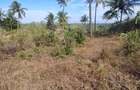 1,450 ac Land at Mabokoni - 2