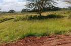 Land in Muthaiga - 7