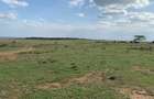 9.6 ac Land in Nanyuki - 3