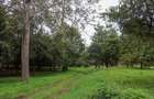 0.25 ac Land at Thika -Gatanga Road - 7