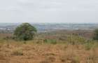 Land in Changamwe - 15