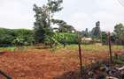 0.25 ac Land in Kinoo - 2