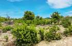 Land at Watamu - 8