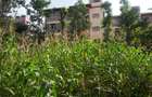 0.113 ac Commercial Land in Ongata Rongai - 1