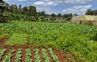 0.5 ac Residential Land in Karen - 5