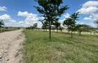 0.125 ac Residential Land at Kiserian - 1