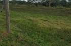 736,554 m² Land in Narok - 4