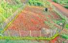 1,000 m² Residential Land at Oaklands Estate - 3