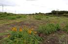 0.5 ac Residential Land in Langata - 3