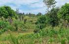 2 ac Land at Mtwapa - 5