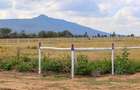 Residential Land in Naivasha - 9
