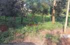 250 m² Commercial Land in Kikuyu Town - 13