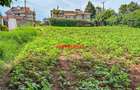 0.05 ha Commercial Land in Kikuyu Town - 3