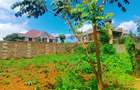 500 m² Residential Land at Nairobi Ndogo Estate - 10