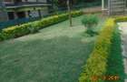 5 Bed Townhouse with En Suite in Lower Kabete - 9