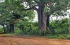 6 ac Land at Kilifi - 3