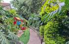 Furnished 1 Bed Apartment with En Suite at Runda - 2