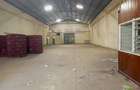 8,000 m² Warehouse with Parking at Ganjoni - 4