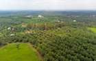 0.125 ac Residential Land in Ruiru - 2
