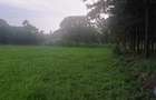 0.5 ac Land in Runda - 4