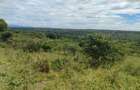 Land in Narok - 14