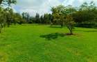 1,000 m² Residential Land at Bondeni Area - 6