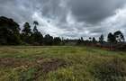 0.5 ac Land in Redhill - 5