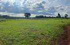 25 ac Land in Kitisuru - 4