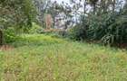 0.5 ac Land at Hillcrest Road - 4