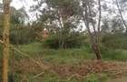 0.5 ac Land at Olepolos - 3