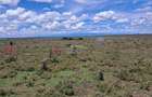 0.405 ha Land in Nanyuki - 2