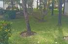 Serviced 1 Bed Apartment with En Suite at Nyali - 5